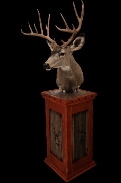 Blackout deer mount — Coots Taxidermy